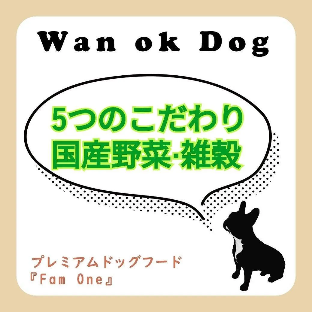 #ドックフード